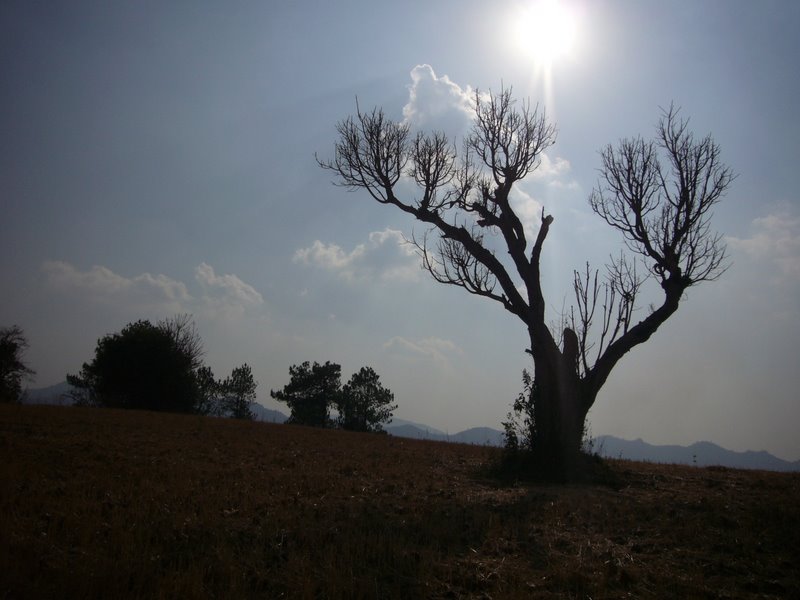 Travel - Myanmar - Kalaw Shan - From Kalaw to the Village